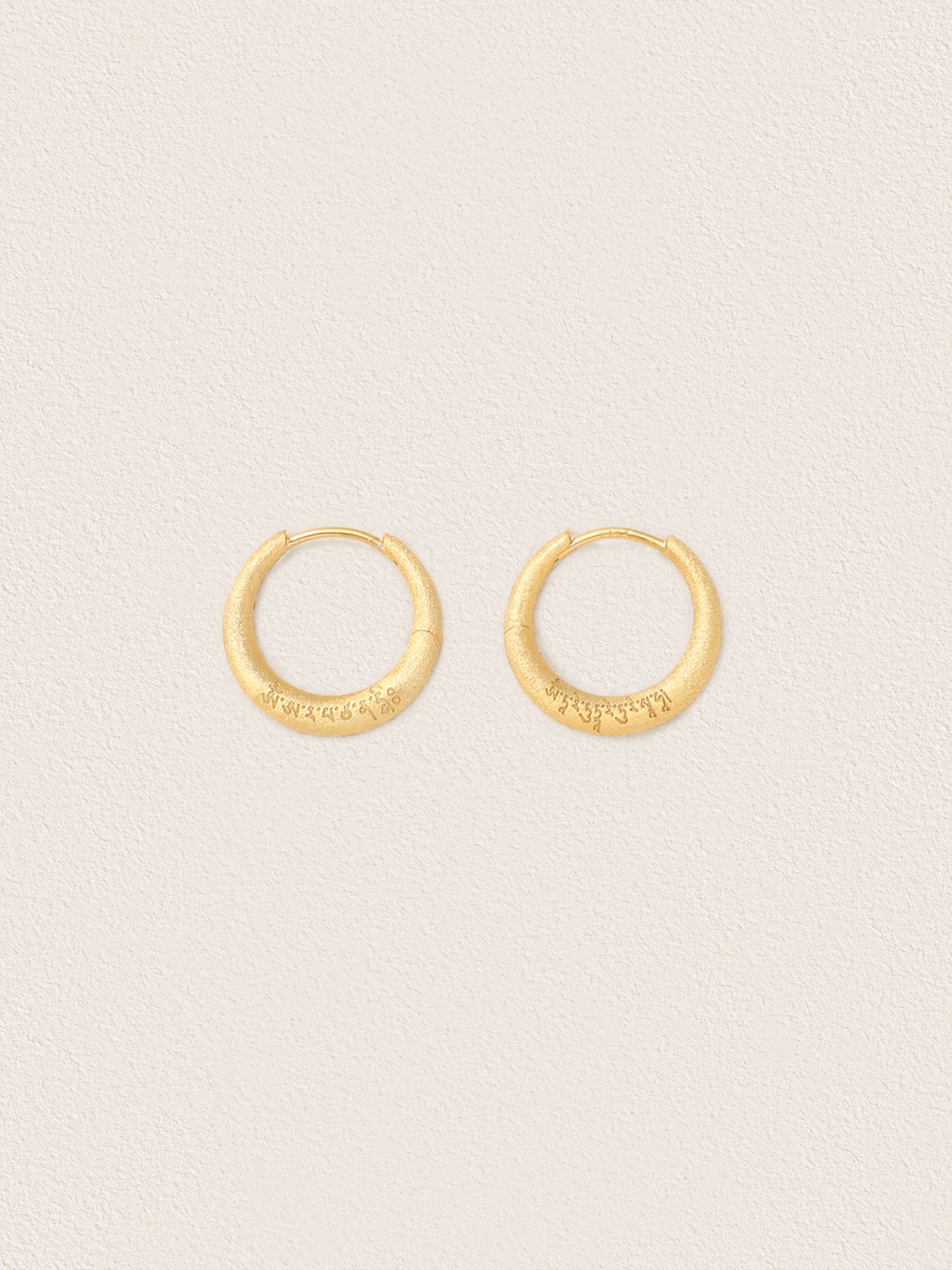 Brushed Silver Hoop Earrings