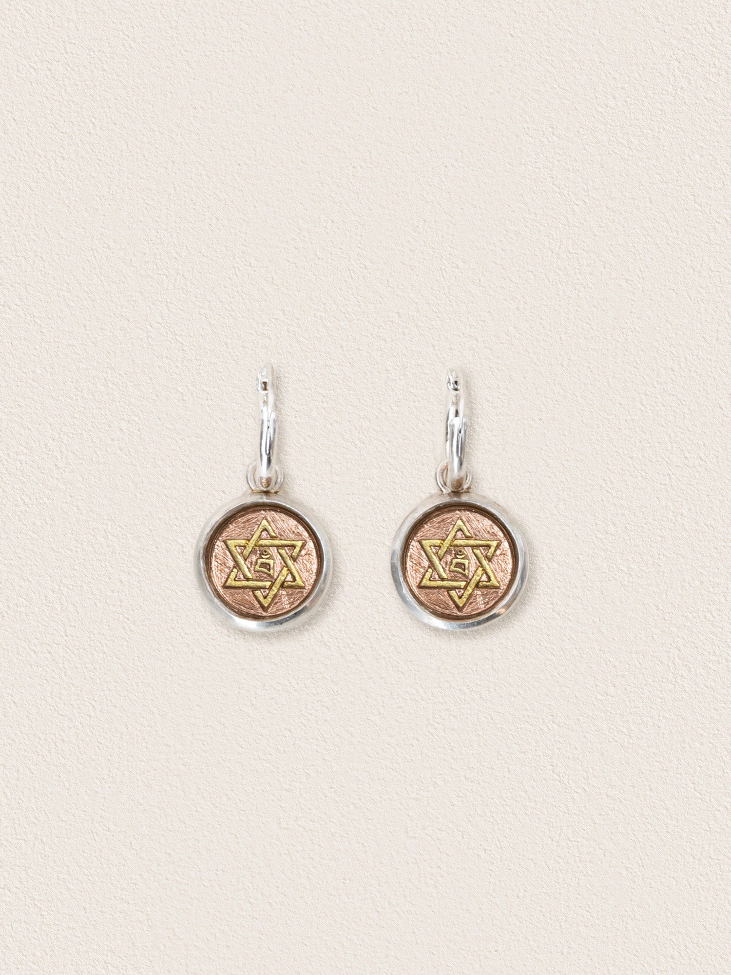 Khyenle Seed Syllable Fire-Gilded Li Ma Bronze Earrings