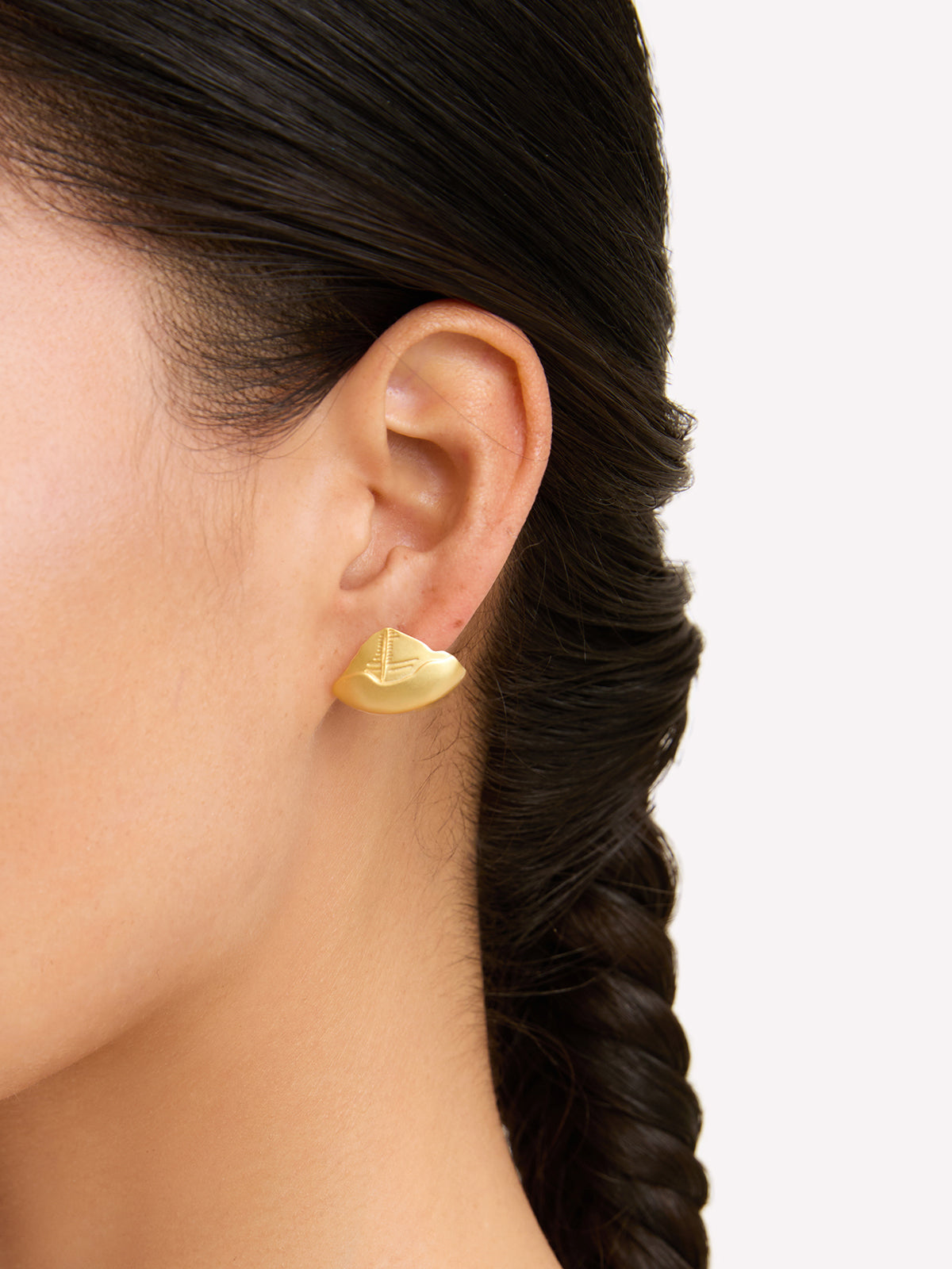 Mount Kailash Earrings