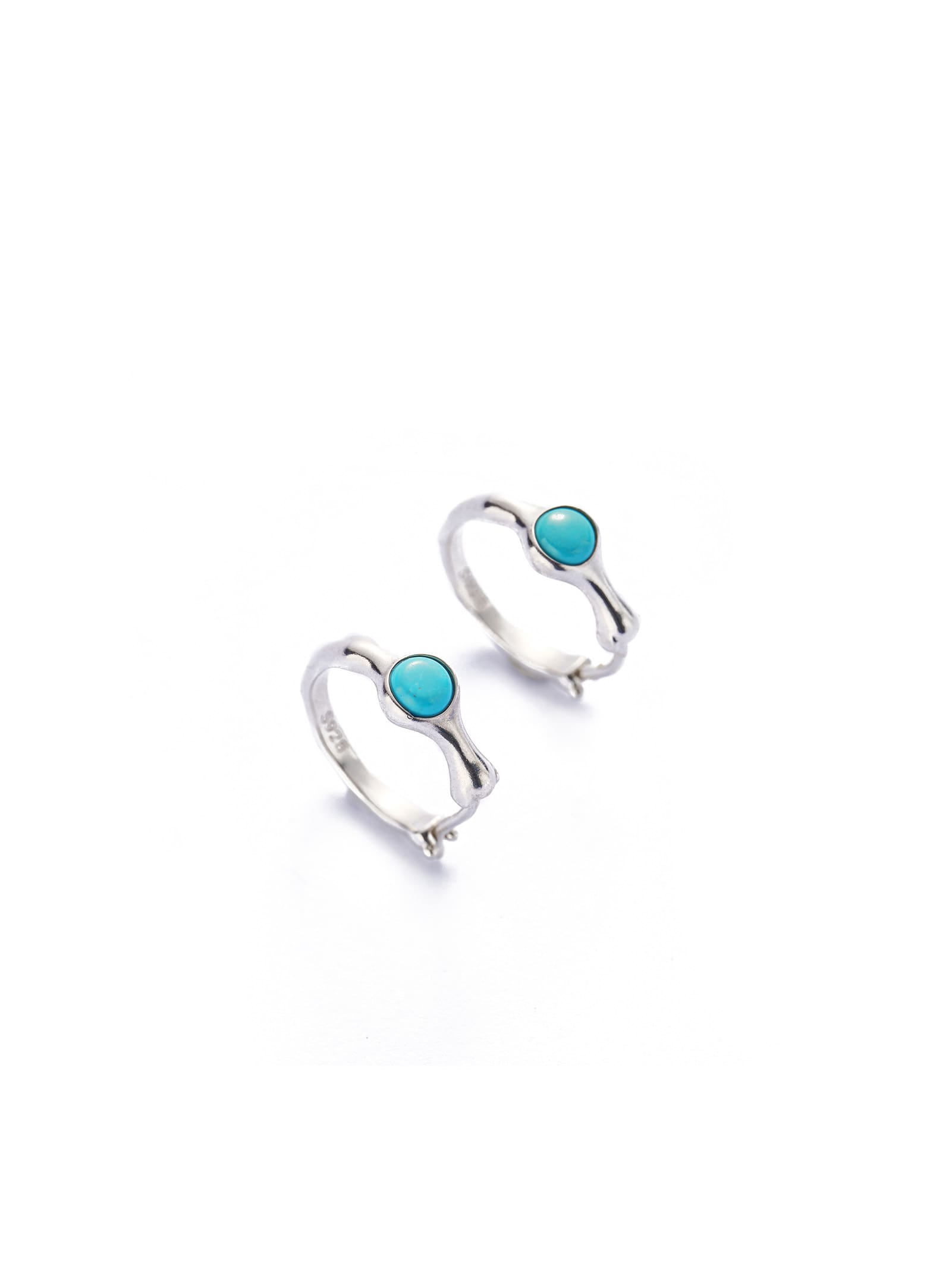 Embellish the Barren Earth Turquoise Earrings