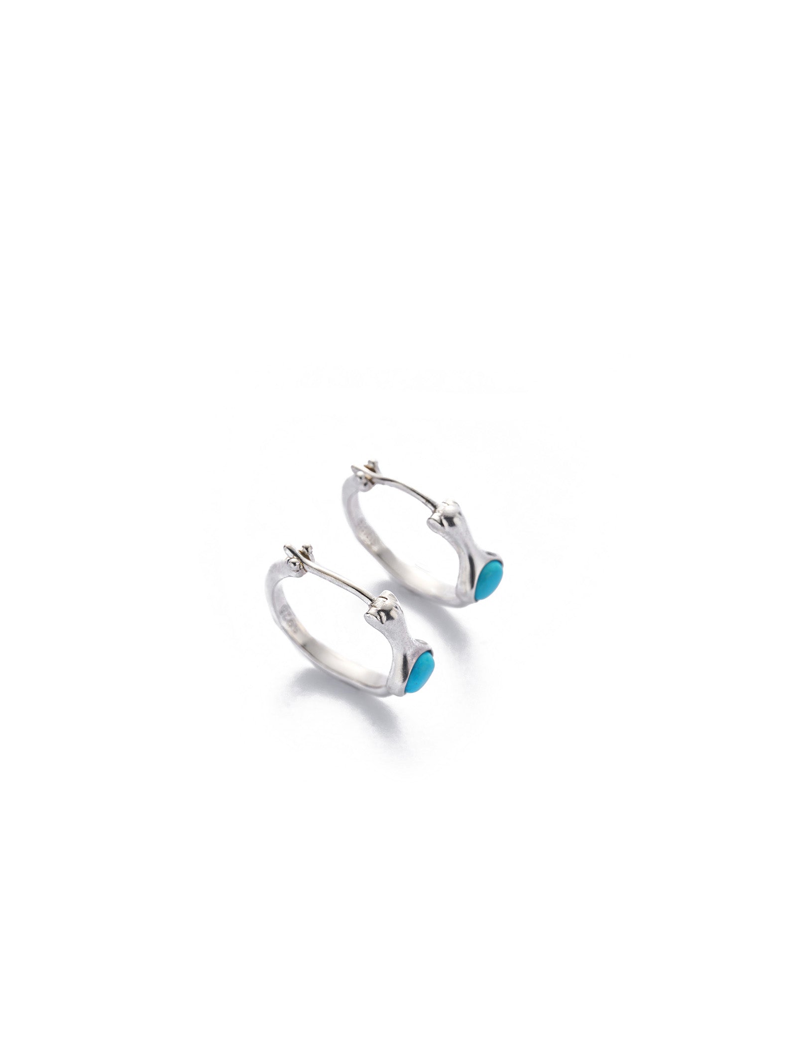 Embellish the Barren Earth Turquoise Earrings